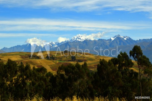 Bild på Vegetacin  cultivos y cordillera andina Per